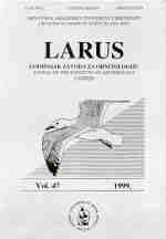 larus47.JPG (3071 bytes)